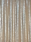 Champagne Blush Sequin