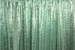Mint Green Sequin